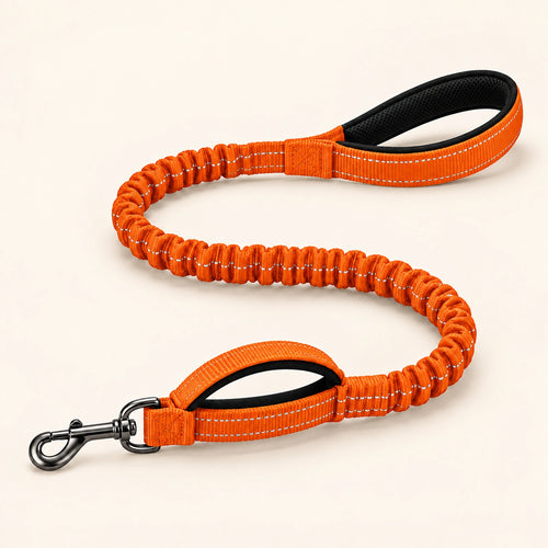 Guinzaglio elastico Brave Pet arancione