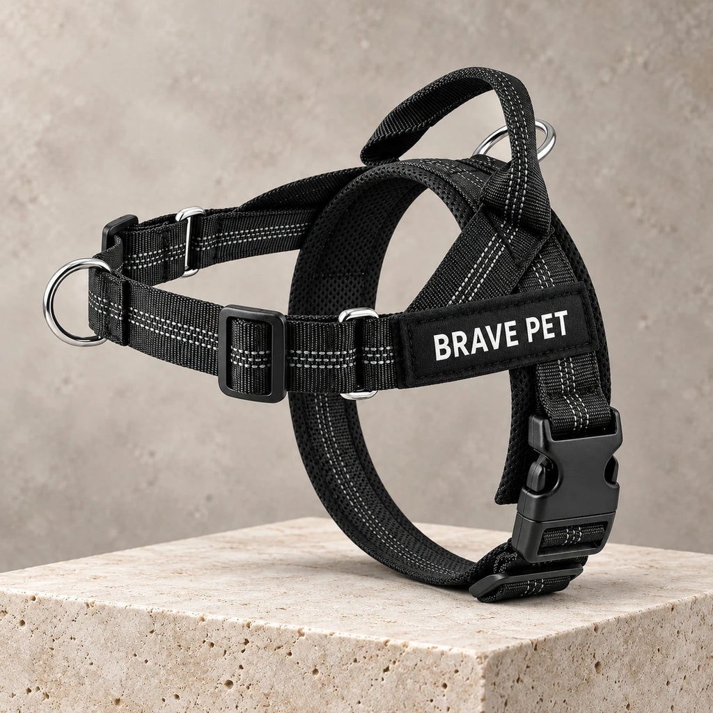 Pettorina Anti-Tiro Brave Pet nera, vista principale