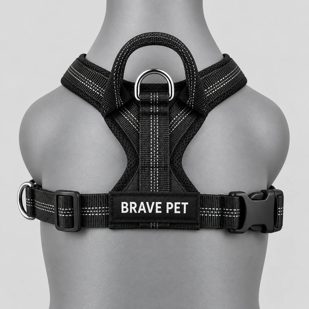 Vista dorsale Brave Pet con anello e maniglia