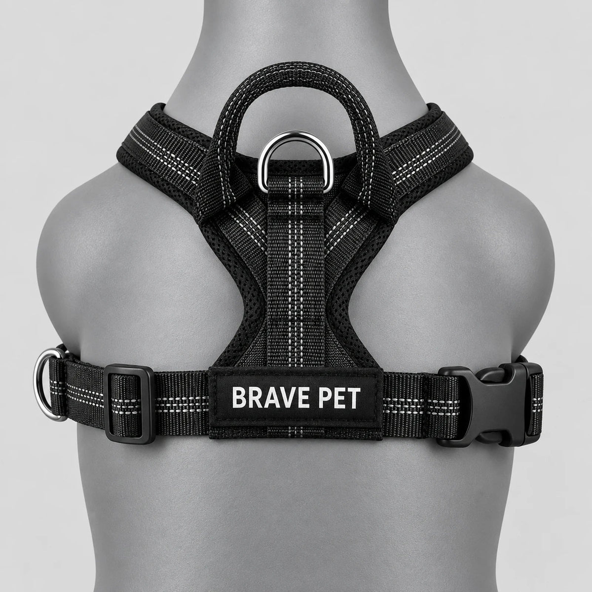 Vista dorsale Brave Pet con anello e maniglia