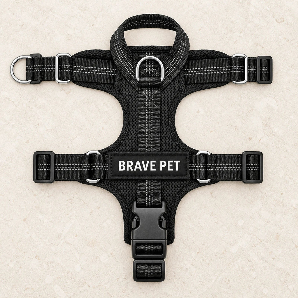 Geometria completa delle cinghie Brave Pet