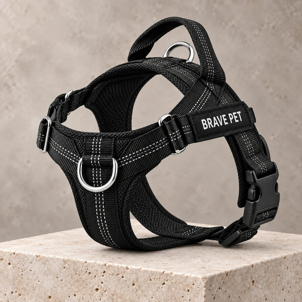 Pettorina Brave Pet vista frontale