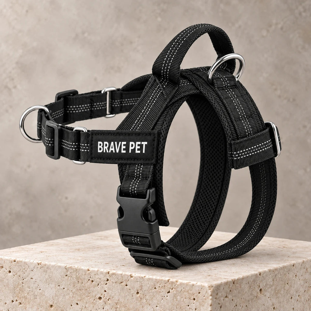 Pettorina Brave Pet vista posteriore