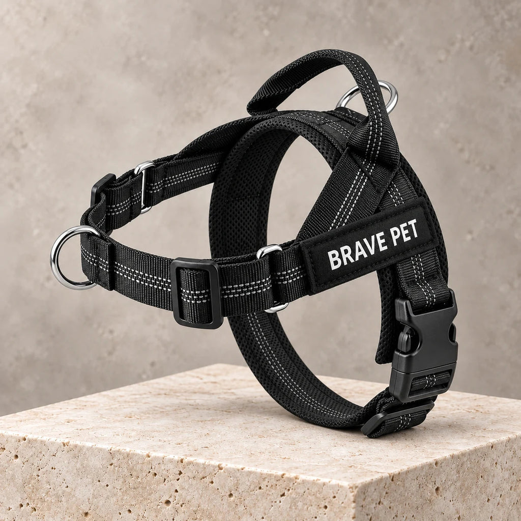 Pettorina Brave Pet vista piatta