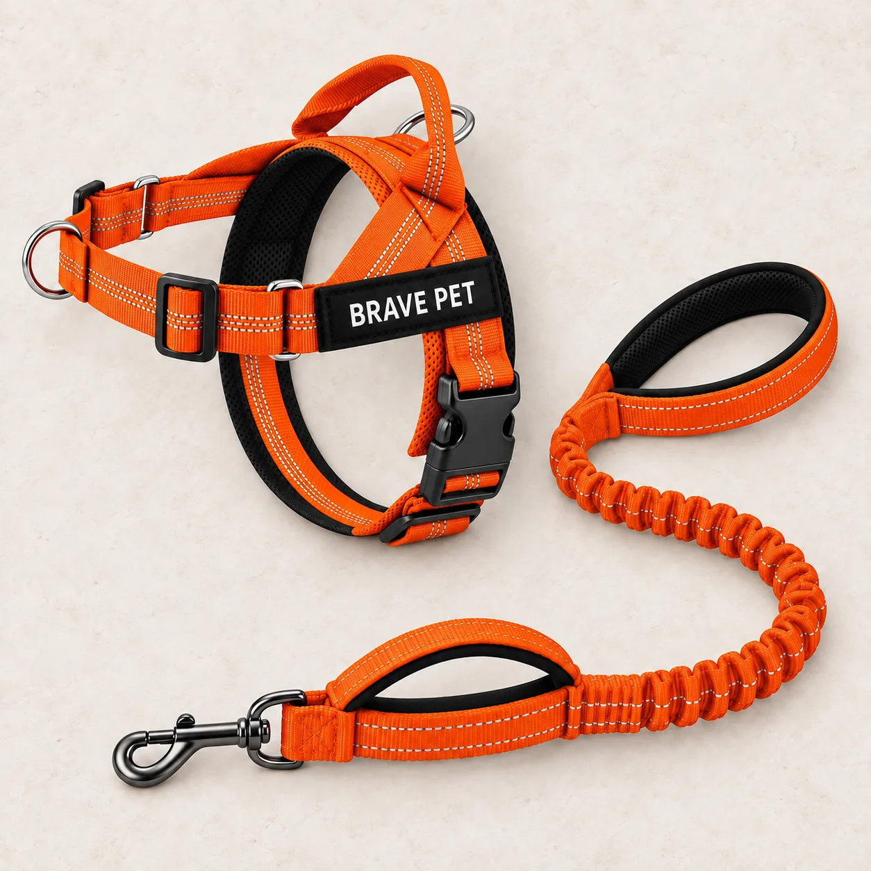 Pettorina Brave Pet e guinzaglio elastico coordinato in omaggio